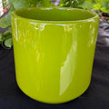Ceramic Cylinder Pot- Lime green