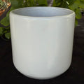 Ceramic Cylinder Pot- Matte white